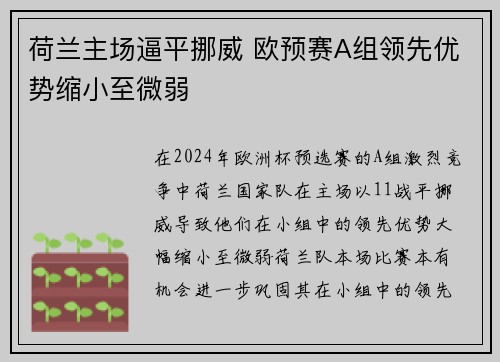 荷兰主场逼平挪威 欧预赛A组领先优势缩小至微弱