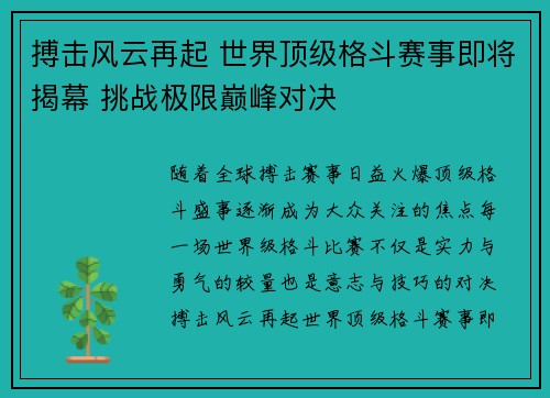 搏击风云再起 世界顶级格斗赛事即将揭幕 挑战极限巅峰对决